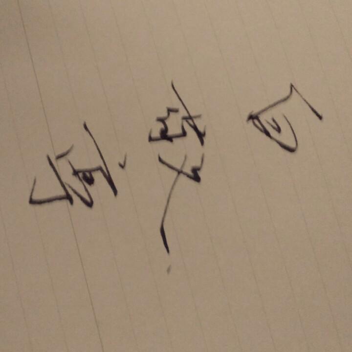 老张lz