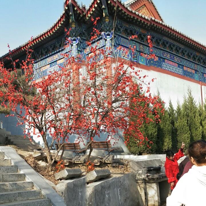 小标题
