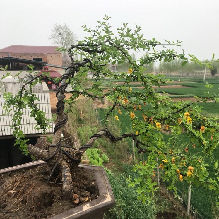 第四生产队原生态农产品小铺