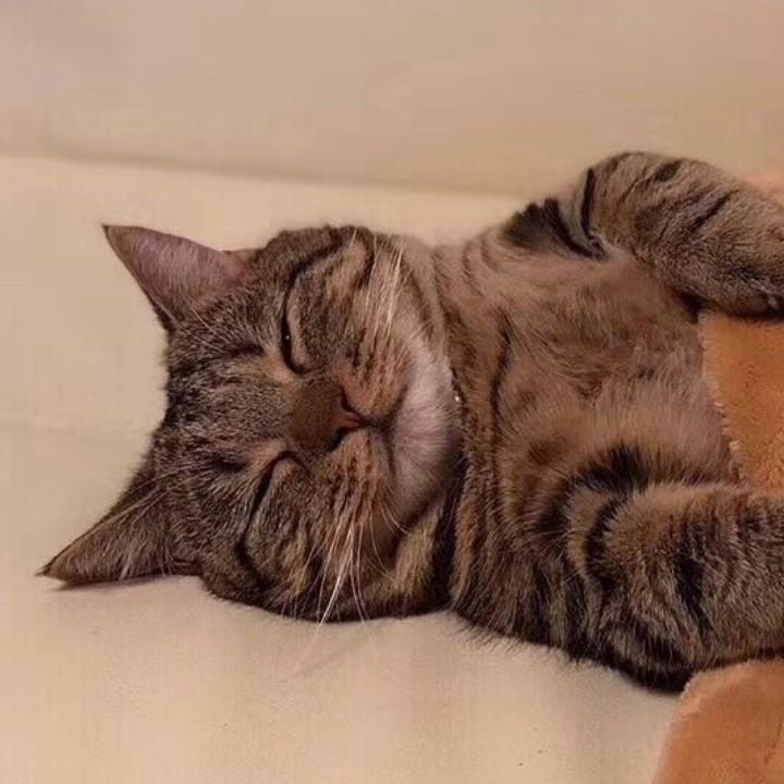 若水