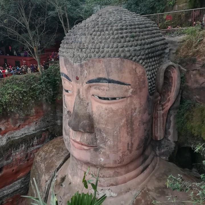 鹦鹉
