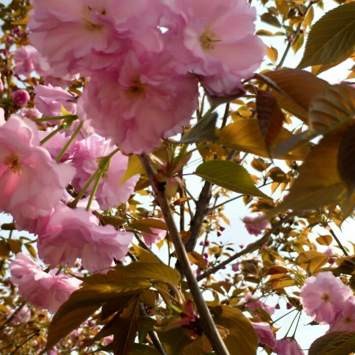 聆听幸福在歌唱