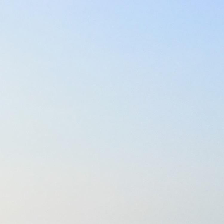 起飞了