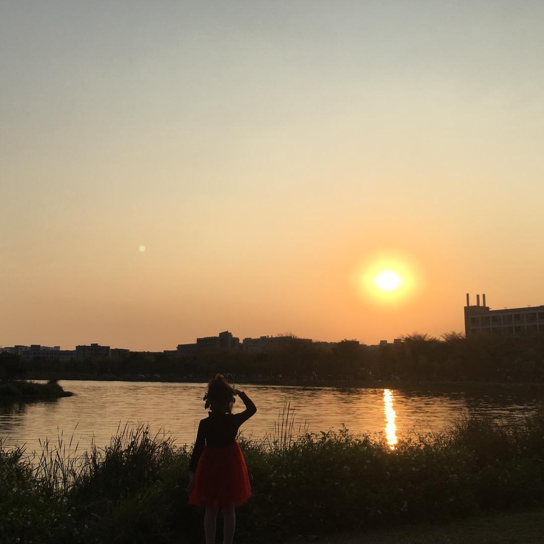 向日葵🌻