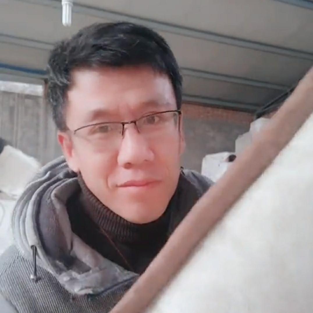 鹏飞