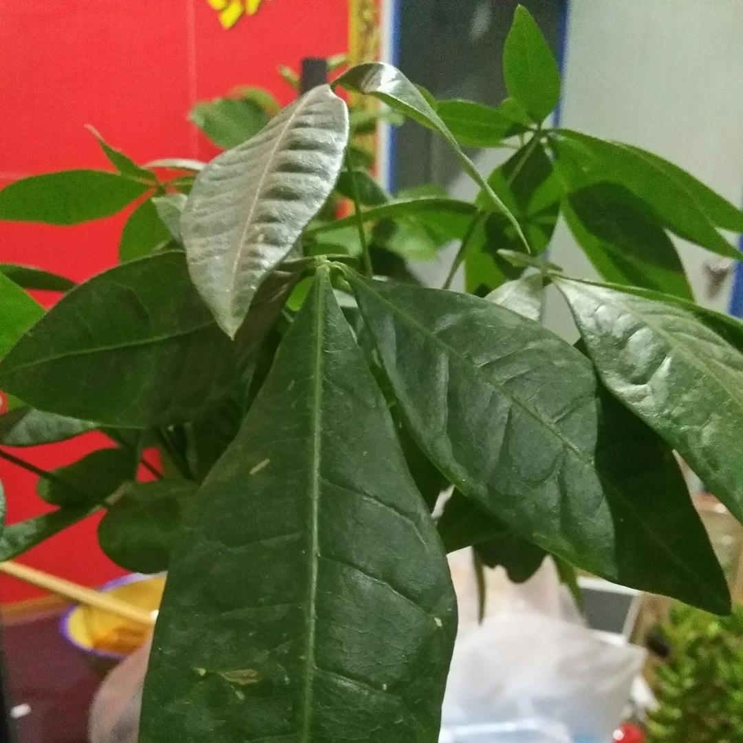 杰达广告装饰384