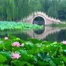 过去不想再谈