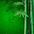 憧park孟州谷旦洗衣修改定制服装