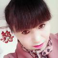 红尘0fsv