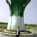 杨淑兰efoz
