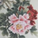春夏秋冬