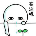 奢侈的梦幻473