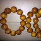 華山兰香  追梦人