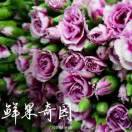 赵思添20022