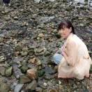 带刺的玫瑰80914