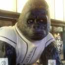 至逝去的青春513