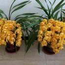 我的爱对你永远不变