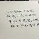 明影221