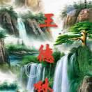 社会拽小林