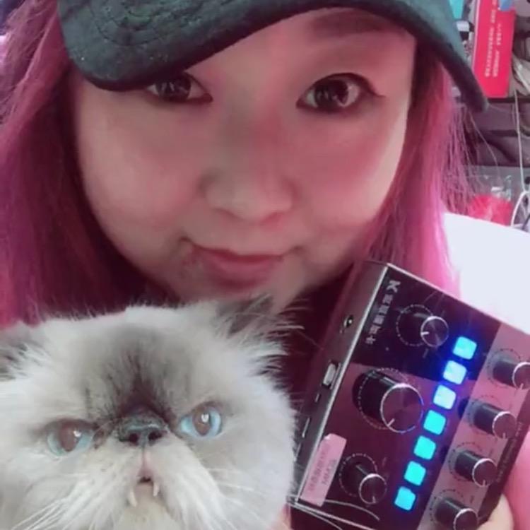 猫姐唱歌设备