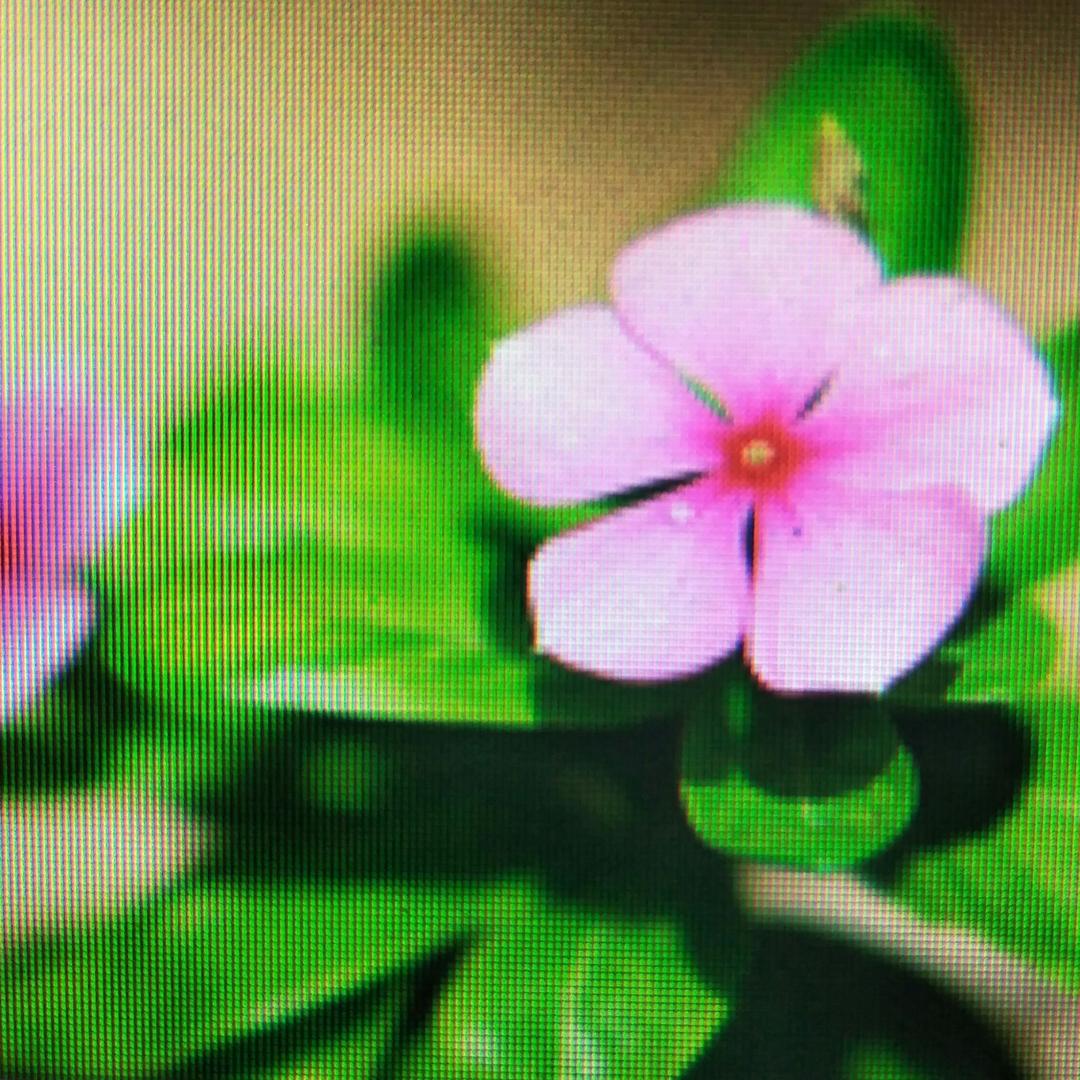 💖坤弟记录生活💖