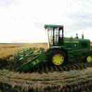 东极禾家农业人