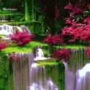 成市中奋斗的人