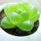 开心每一天14170