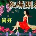 单身好男人552