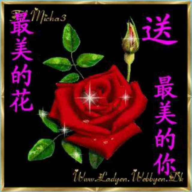 .带刺玫瑰