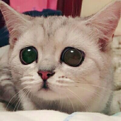 沉淀自己ઇଓ双鱼(๑•͈ᴗ•͈)❀