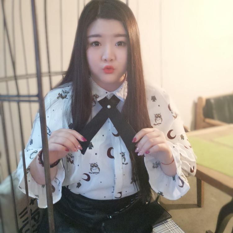 或或或或阿