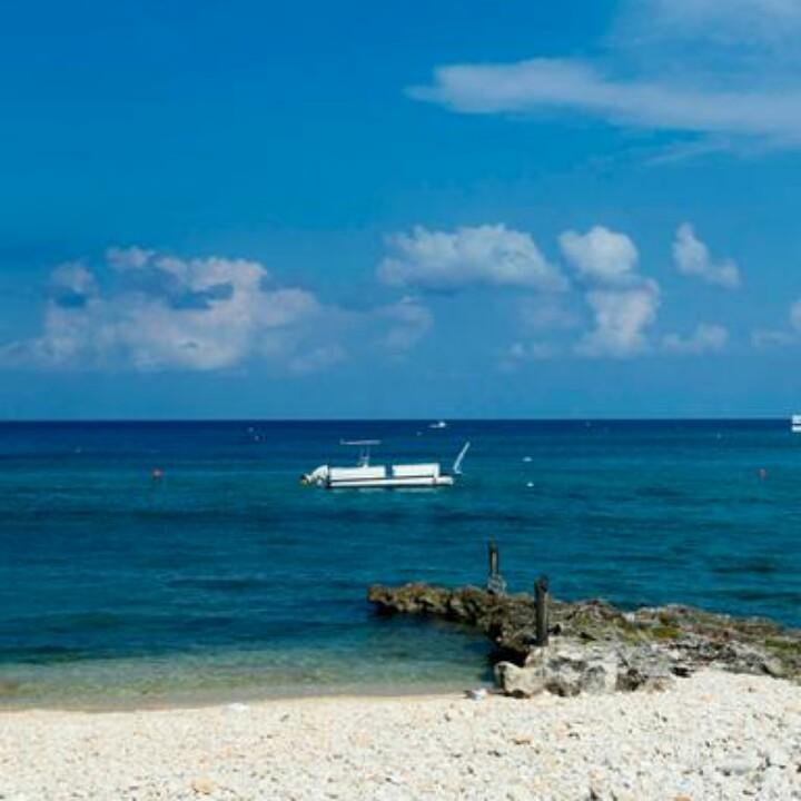 那片海
