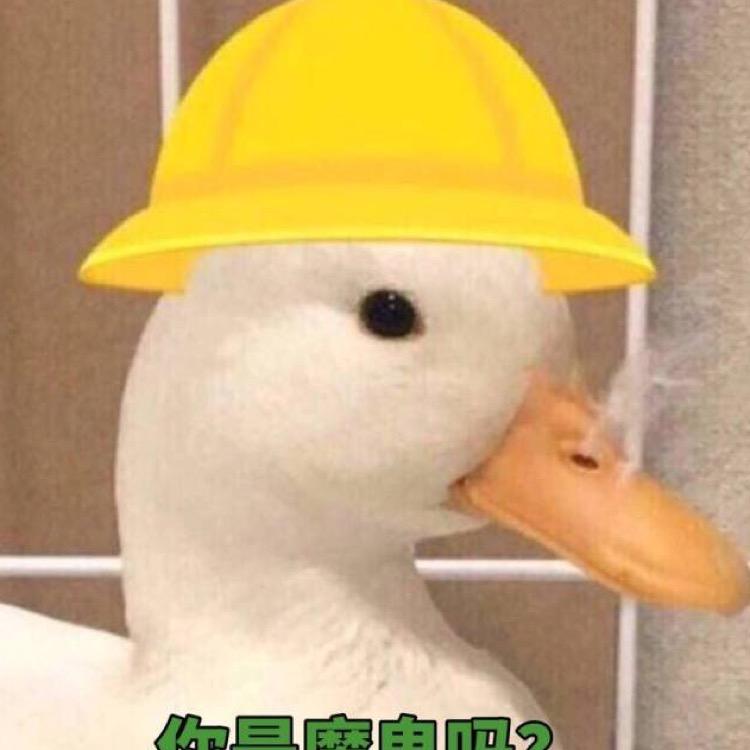 低低的大鸟背