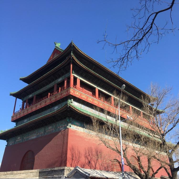 果果🌿