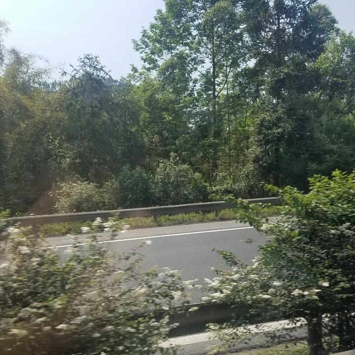 设计师