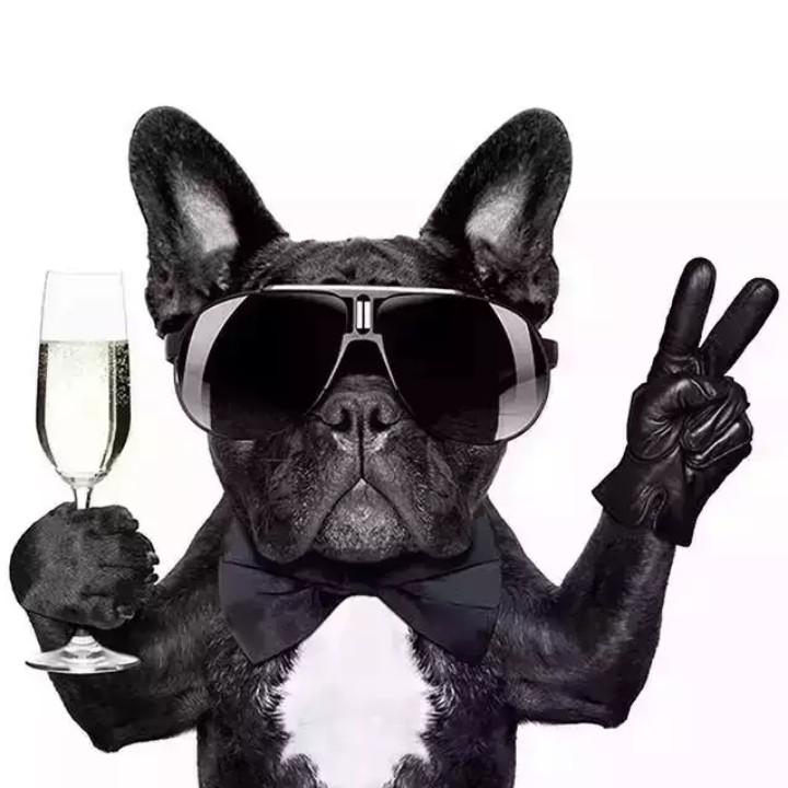 你的脸，我怎么忘