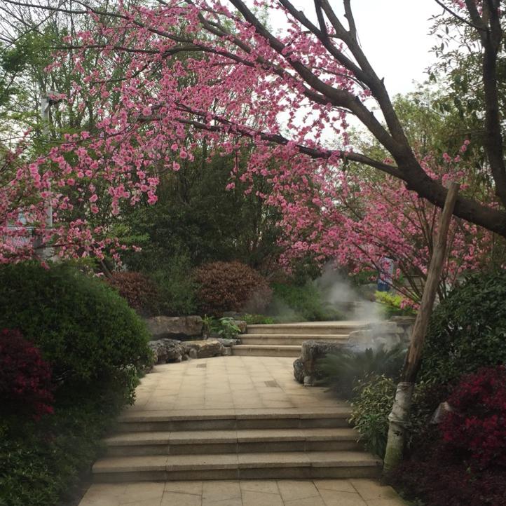 创玖美园林综合服务精选店