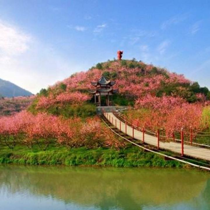 河南潢川苗木基地