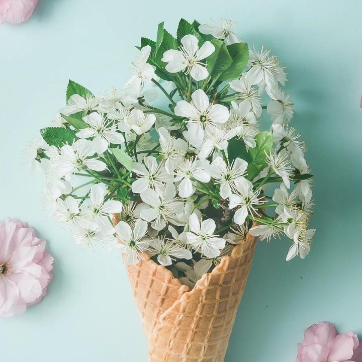 ❤️如水🌹（退）