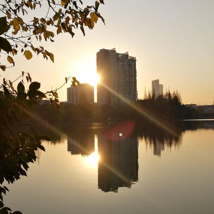 通派观察者