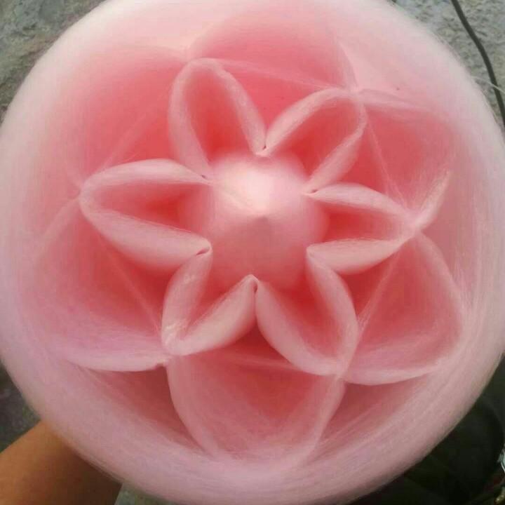 沉默的风把歌唱