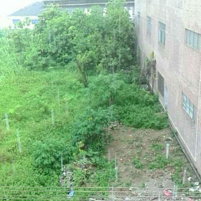 什么鬼