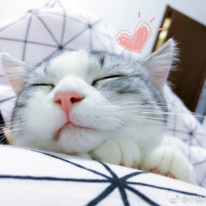 墨小爷