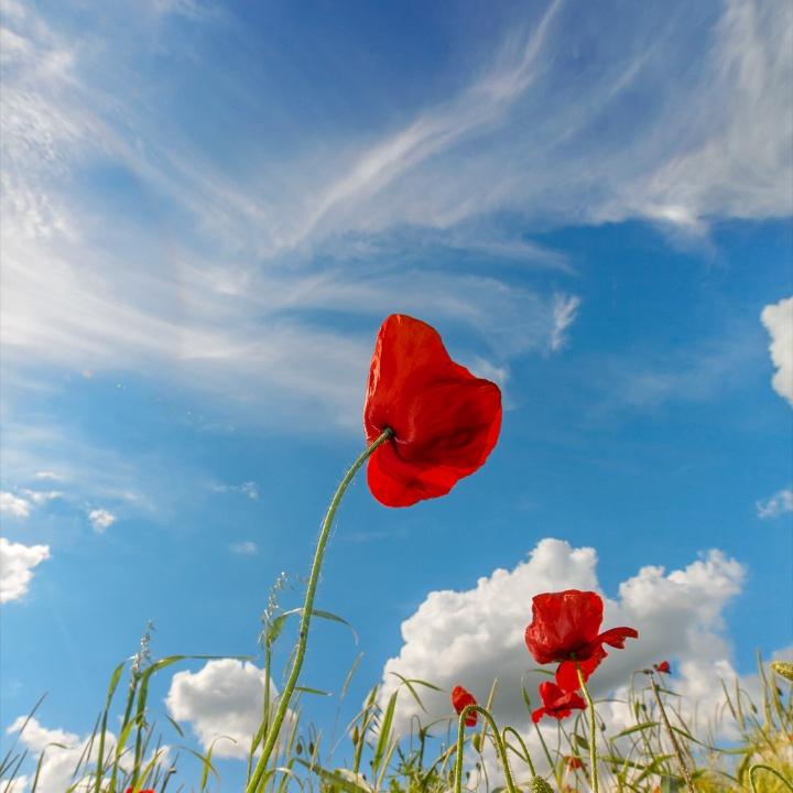 什么时候能遇见你