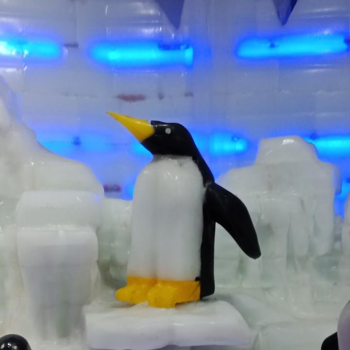 风吹落叶