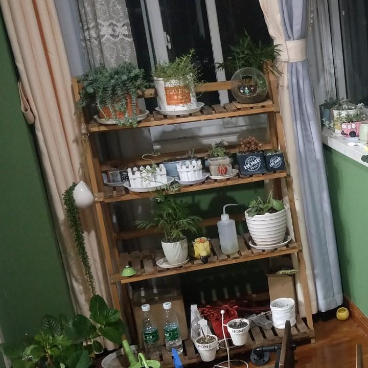 🌈红中🀄