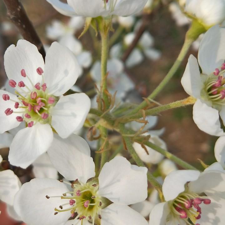 顺其自然