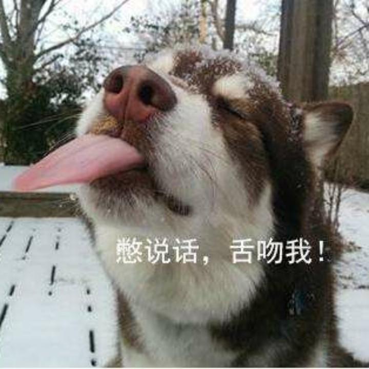 出村的诱惑