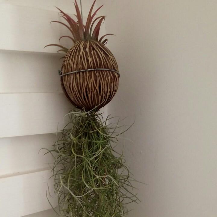 涡